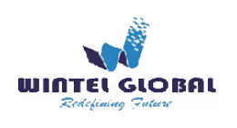 Wintel GLobal Business Solutions Pvt. Ltd. - Franchise